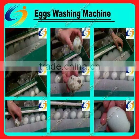 Popular hotsale Egg Farm Machine