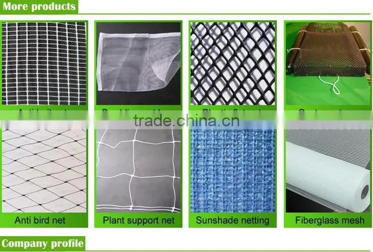 vegetables net,plastic net,sun shade netting