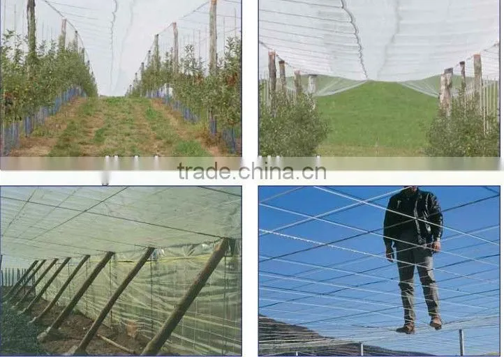 quality controled agriculture polyester wire/steel frame greenhouse