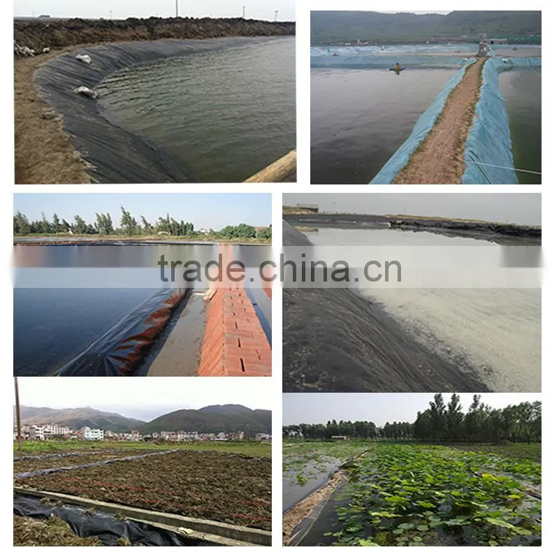 uv resistant aquaculture fish farming HDPE polyethylene reinforced pond liner