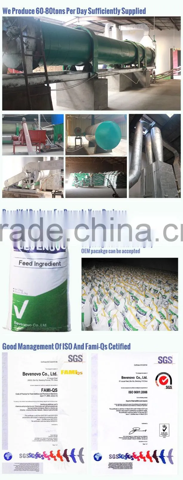 Meat And Bone Meal / MBM 60% 65% High Protein