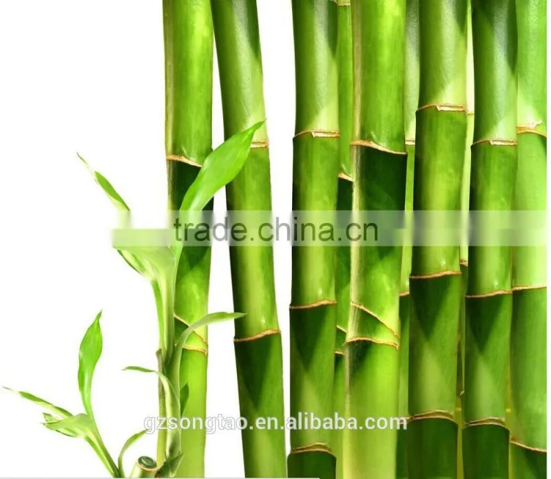 China Songtao wholesale artificial bamboo plant potted