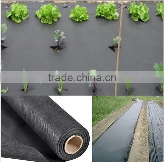Steady Quality China Agricultural PP Non-woven Fabric,Crop Cover