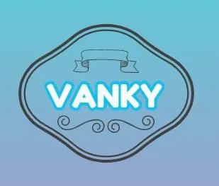 Vanky International Limited company overview - view 1