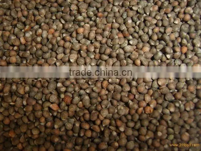 organic white perilla seeds