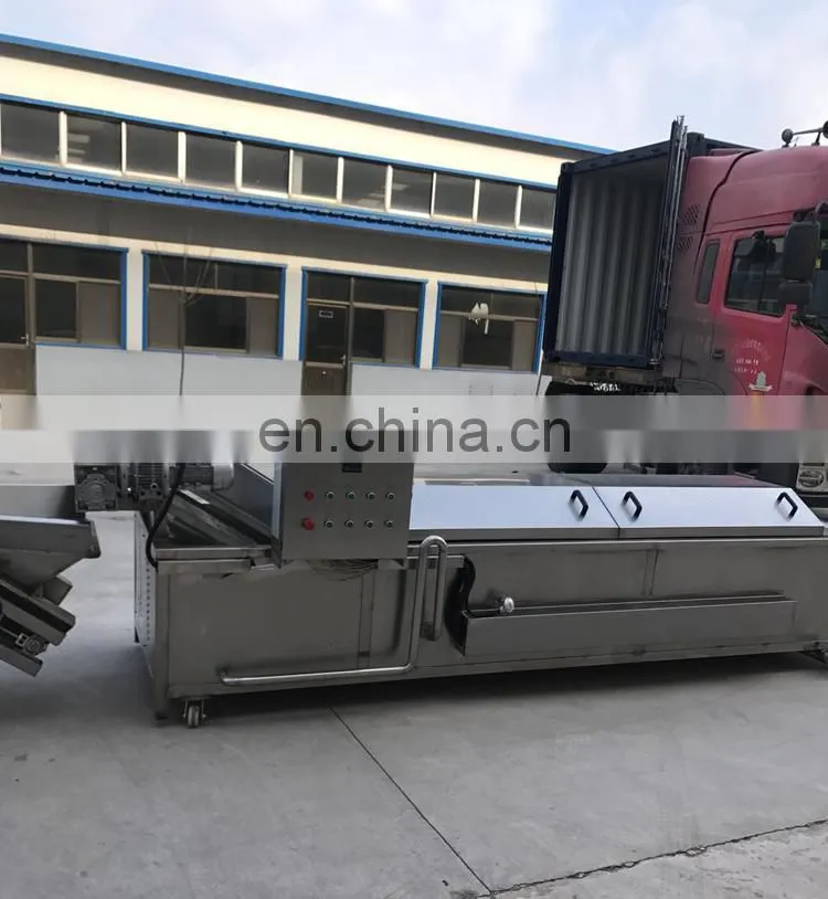 Heavy Duty Industrial Stainless Steel Vegetable Blanching Machine/Fruit Blanching machine