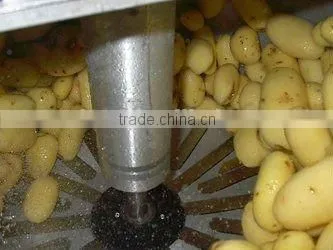 High efficiency ginger peeler machine/potato peeling machine