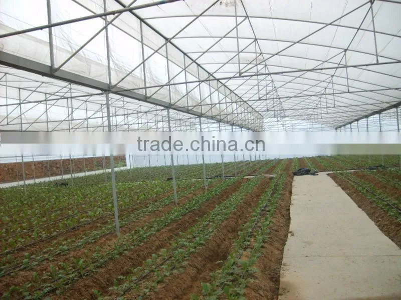 hot sell modern plastic greenhouses