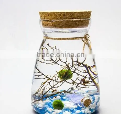 Terrarium glass vase container pots for home wedding decor