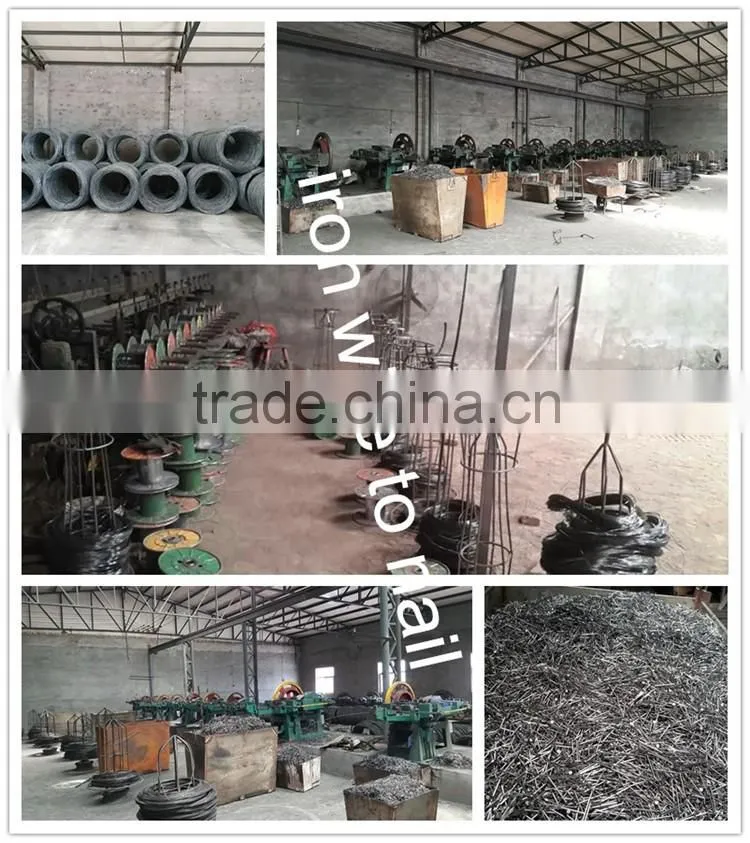 high quality factory produce common iron nail 3"-4"/common iron wire nail
