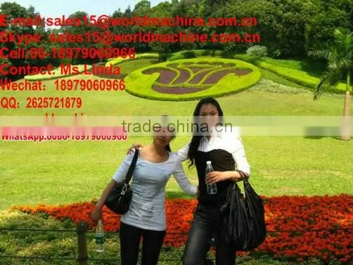 Export to Saudi Arabia hydroponic animal fodder controller for growing fodder grass,barley,wheat,and all kinds vegetables