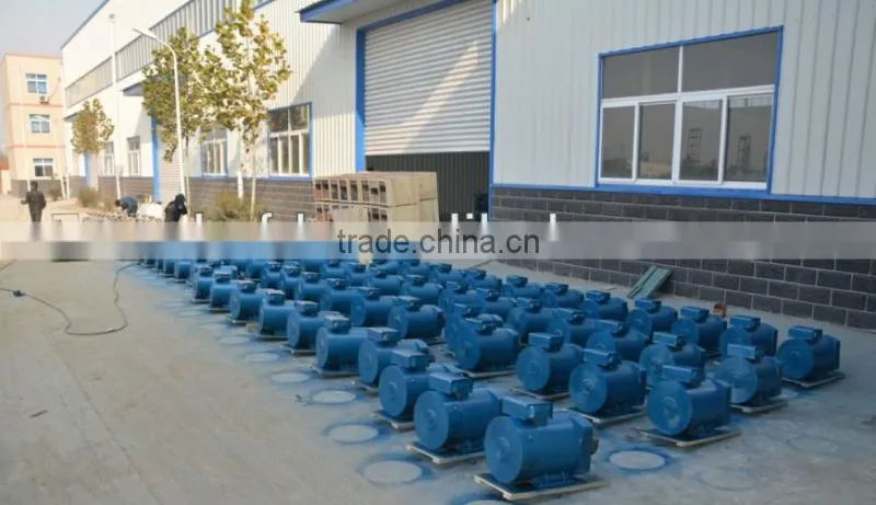 Low power but High efficiency ST Single-phase generator