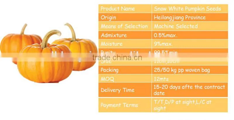Foam Pumpkin Seed Oil Prostatatic and Dried Pumpkin