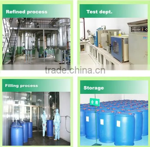 Best Quality Vegetable Extract Garlic Extract/ nautral garlic oil
