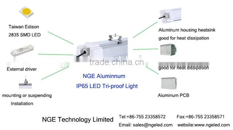 Newest parking lot lighting IES CE RoHS 600mm led tube IP65 led tri-proof light