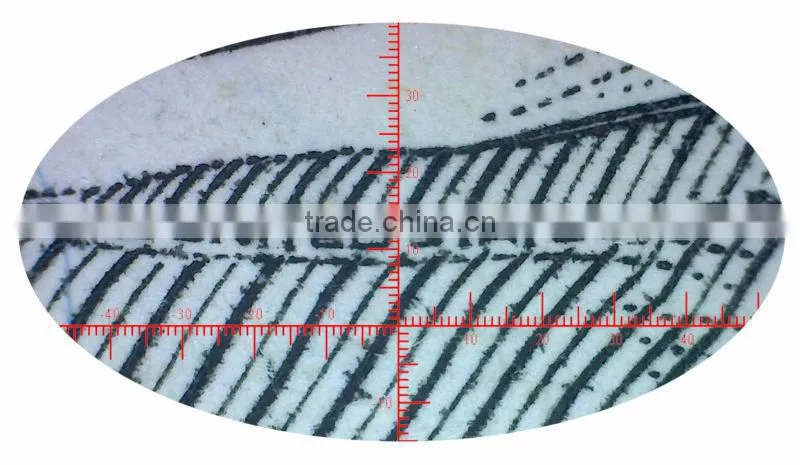 Patent MDA1300R portable USB microscope with reticl measurement function for law enforcement