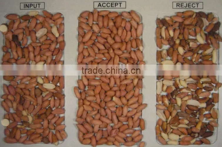 garlic color sorter, belt color sorter