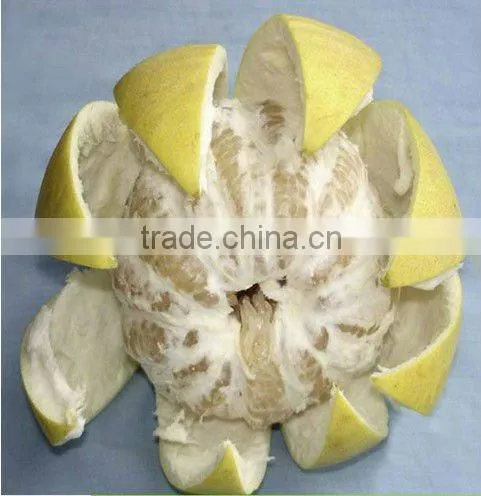 honey pomelo (shaddock) from China(citrus fruit)