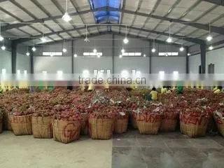 Vinagrin Import Export Co.,ltd company overview - view 2