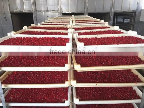 Dehydrated cherry/Preserved cherries/Chinese Dried cherry