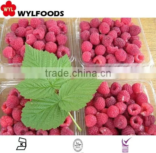 IQF frozen raspberry