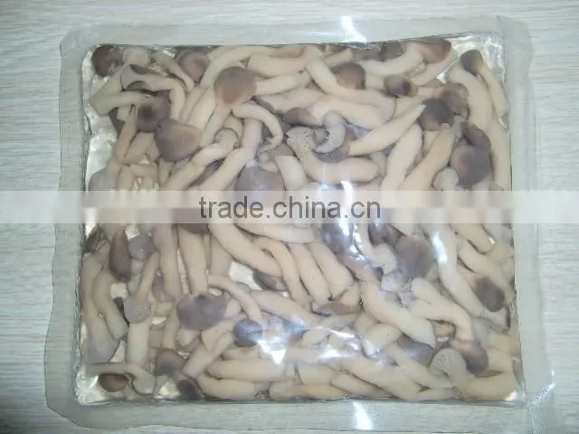 cultivation fresh shimeiji greenhouse pleurotus cornucopiae for sale Shimegy