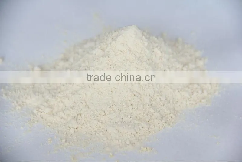 spice onion powder