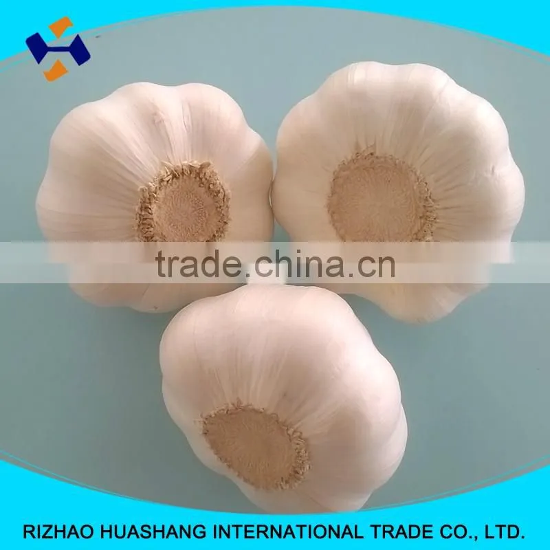high quality pure white fresh garlic size4.0cm