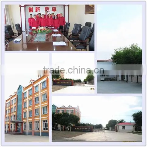 2016 crop Chinese pure hulled sunflower seeds
