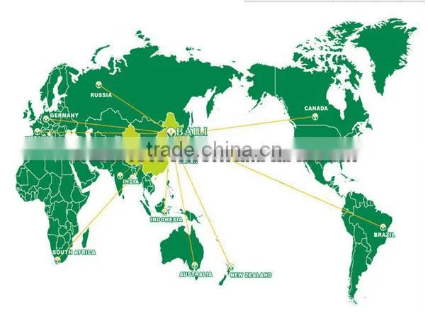 Wholesale Grape Seed Oil