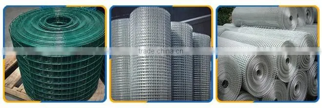hign quality galvanized welded wire mesh