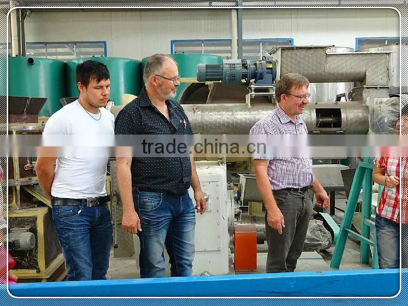Biomass power plant bamboo/bagasses/wood logs pellet production line with price
