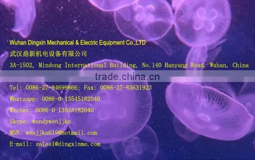 DGP30 Small Restaurant Stainless Steel Garlic Peeler Machine for sales