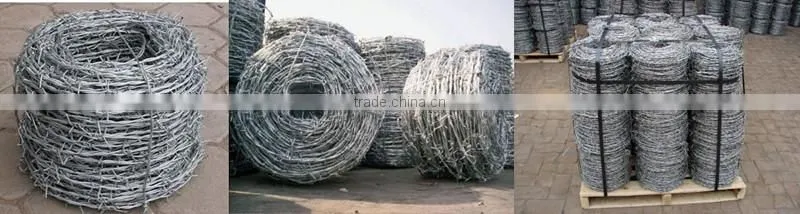 Cheap Galvanized /PVC coated double twist Barbed Wire roll