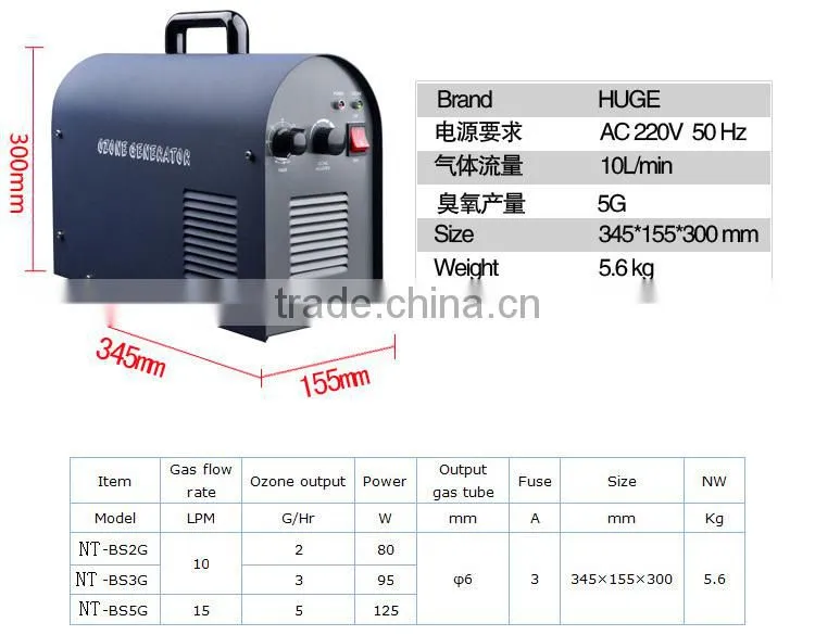2013 Hot sales home use blue 5g ozone generator