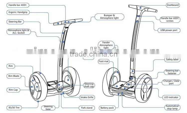 China electric chariot