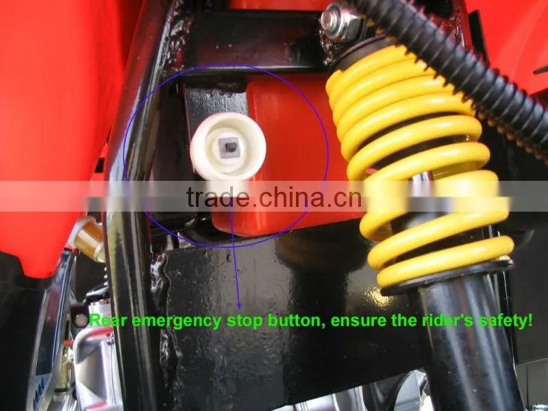 Gas-Powered 4-Stroke Full Automatic Engine ATV WZAT5001