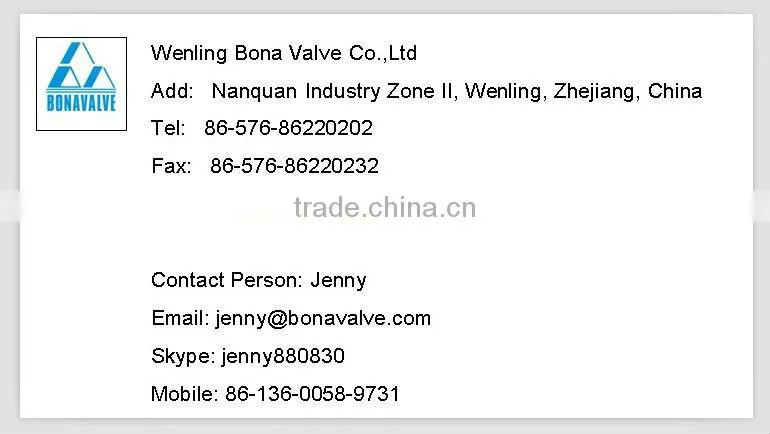 BONA Brass Solenoid/Magnetic Valve for TIG/ARC/MIG Welding Machine