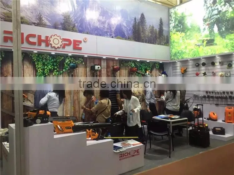 2016 NEW Chain Saw with best walbro carburetor and oregon chain CS5460