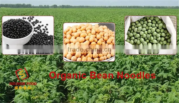 Europe Quality Organic Soybean Pasta Noodles