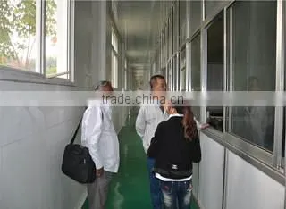 Shandong Wheatsun Food Co., Ltd. company overview - view 2