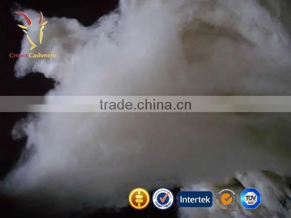 Raw Cashmere Fiber Inner Mongolian