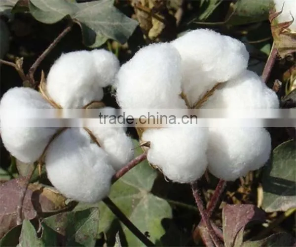 China supplier high quality 5start hotel100%Cotton Bath Rug