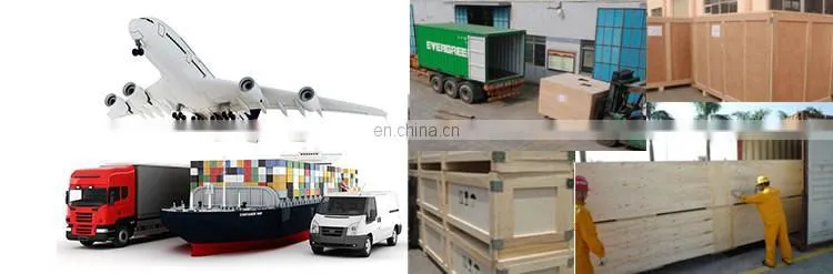 Dehydrated Red Onion Powder processing plant
