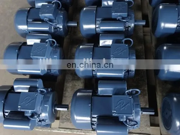 electric motor(Y, Y2, YC, YCL, JY, ML, MS, MY)