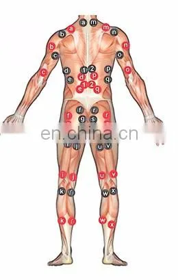 professional powerful weight loss ems russian wave electric muscle stimulator