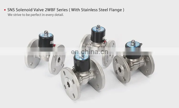 SNS 2WBF Series Liner Safety Floating Relief Pneumatic Control Valve Solenoid Valve With Stainless Steel Flange