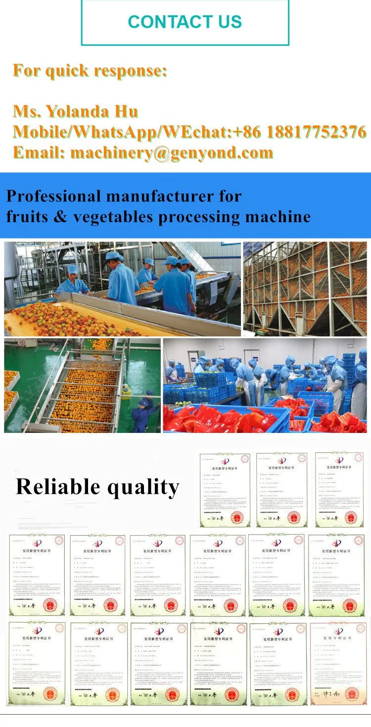 Automatic Pineapple Juice Concentrate Processing Plant