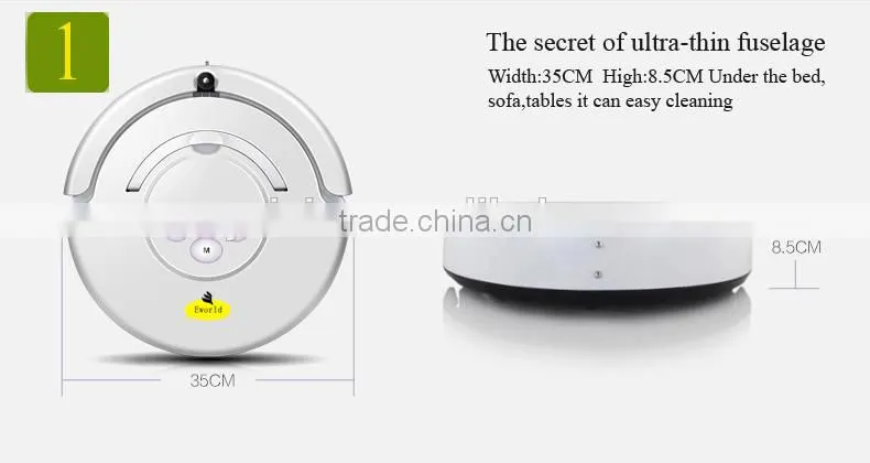 Outdoor vacuum cleaner with vacuum cleaner motor and road sweeper brushes