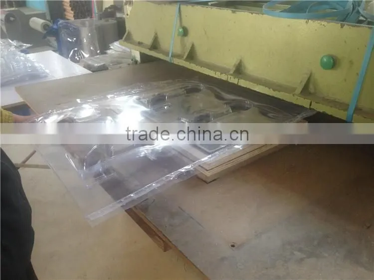 Disposable Plastic Fruit Strawberry Packaging Tray